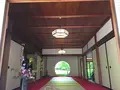明月院（あじさい寺）の写真_132533