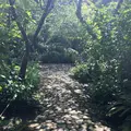 明月院（あじさい寺）の写真_132534