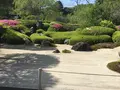 明月院（あじさい寺）の写真_132535