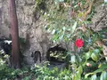明月院（あじさい寺）の写真_132538