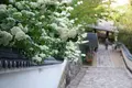 長谷寺の写真_132653
