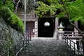 長谷寺の写真_132656