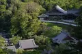 長谷寺の写真_132658