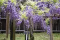 萬葉植物園の写真_132672