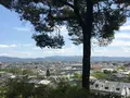 鈴虫寺（華厳寺）の写真_134322