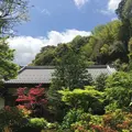 鈴虫寺（華厳寺）の写真_134455