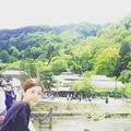 京都駅の写真_134473