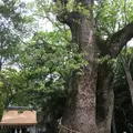 伊弉諾神宮の写真_134856
