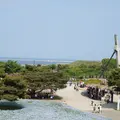 国営ひたち海浜公園の写真_136066