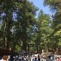 日光東照宮の写真_136139