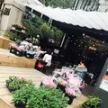 ピースフラワーマーケット＆カフェ （Peace Flower Market & Cafe）の写真_136791