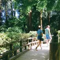 Portland Japanese Gardenの写真_138523