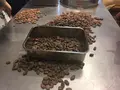 Dandelion Chocolate（ダンデライオンチョコレート）の写真_140016