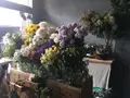 from afar（フロムアファー ）の写真_140039