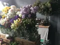 from afar（フロムアファー ）の写真_140040