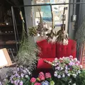 from afar（フロムアファー ）の写真_140041