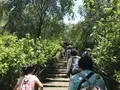 明月院（あじさい寺）の写真_140250