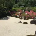 明月院（あじさい寺）の写真_140433