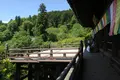 長谷寺の写真_140472