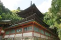 醍醐寺の写真_140973