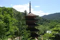 長谷寺の写真_140999