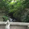 明月院（あじさい寺）の写真_141137