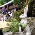 明月院（あじさい寺）の写真_141148