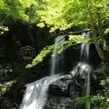 県立自然公園宇津江四十八滝の写真_141622