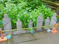 明月院（あじさい寺）の写真_141823