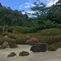 明月院（あじさい寺）の写真_143178
