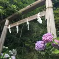 銭洗弁財天 宇賀福神社の写真_143202
