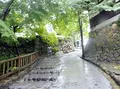 三光稲荷神社の写真_143847