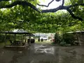 casa de nomaの写真_144335