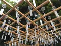 川越氷川神社の写真_145158