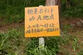 天空の遊歩道 岐阜のマチュピチュ ビュースポットの写真_145958