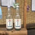 おかげ横丁の写真_147630
