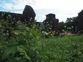 ミーソン聖域の写真_149249