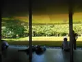 平等院の写真_152514