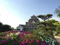 岡山城の写真_152636