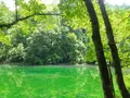 竜ヶ窪の池の写真_152949