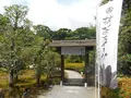 元離宮 二条城の写真_153991