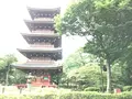 上野動物園の写真_154707