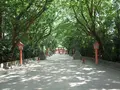 住吉大社の写真_155613