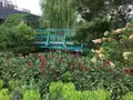 食と緑の空中庭園の写真_155681