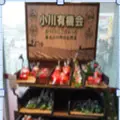 ヤオコー 小川ショッピングセンターの写真_155935