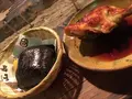 いろり山賊 玖珂店の写真_159019