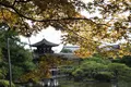 平安神宮の写真_159528
