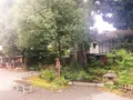 秩父神社の写真_159676
