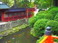 根津神社の写真_164801