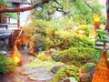 信州湯田中温泉 華灯りの宿 加命の湯の写真_164830